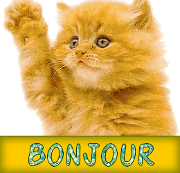 bonjour